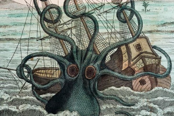 Kraken маркет whitenet только через tor
