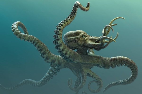 Kraken ссылка тг