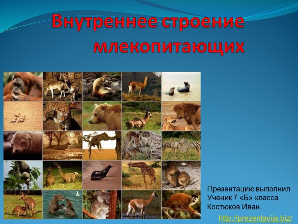Почему в кракене пользователь не найден