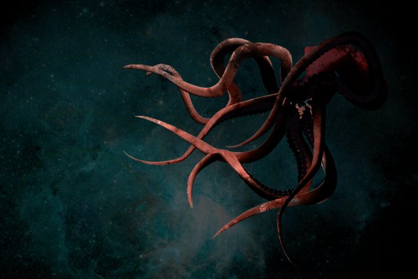 Kraken 14at