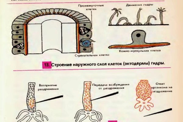 Кракен ссылка призыва нет